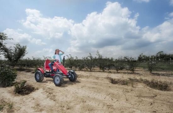 Веломобиль BERG New Holland BFR — фото 14