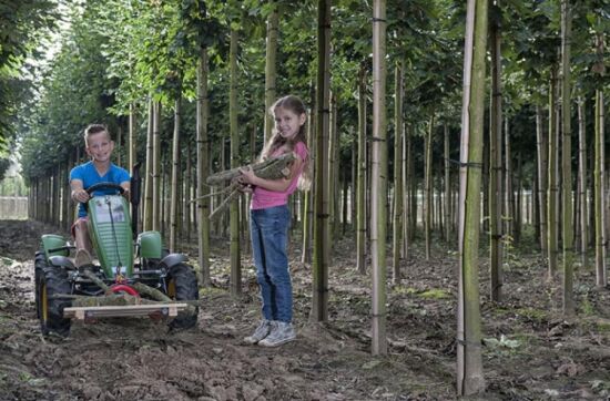 Веломобіль BERG New Holland BFR — фото 11