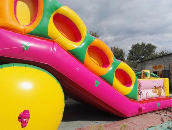 Надувна гірка Букет — фото 6