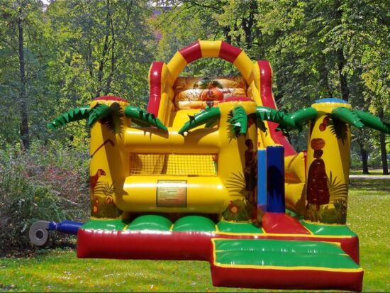 Надувна гірка Пальма — фото 2