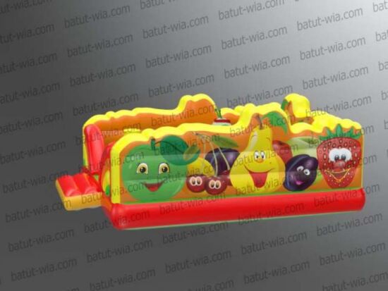 Надувной батут Витамин — фото 2